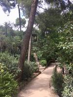 Grünanlagen im Parc Gu¨ell