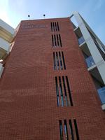 033_Barcelon_Mics Saint Jordi (1)