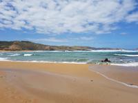 Es ist heute leider zu kalt, um in die Fluten zu springen