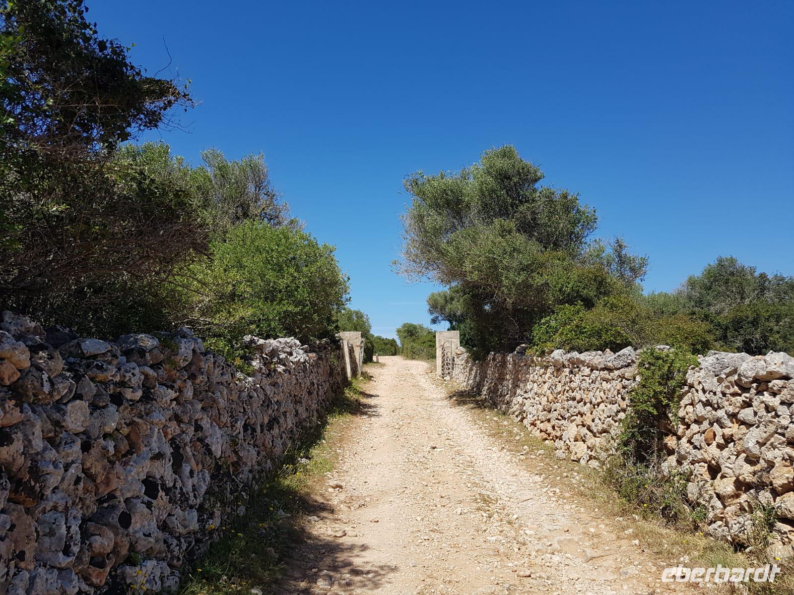 Überall die berühmten Trockenmauern