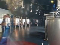 Zu Käse gehört Wein!