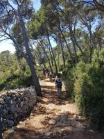 Viel Schatten im Landesinneren, Gottseidank !