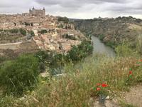 Toledo - am Fluss Tajo