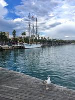 Am Hafen in Barcelona