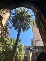 Kreuzgarten der Kathedrale in Barcelona