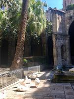 13 Ga¨nse im Kreuzgarten