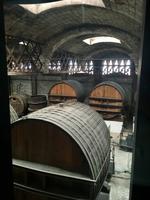 Fa¨sser in der Sektkellerei Codorniu