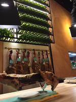 Typisch Spanisches Abendessen zum Abschied