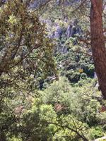 Suchbild- gelbe Seilbahn zum Kloster Montserrat