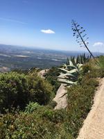 Blick ins Tal vom Kloster Montserrat 