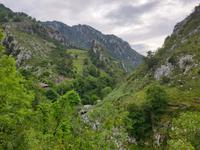 Fahrt nach Arenas de Cabrales (3)