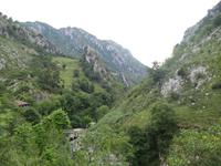 Fahrt nach Arenas de Cabrales (6)