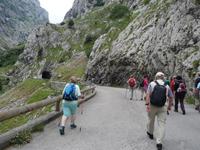 Wanderung an der Ruta del Cares im Nationalpark Picos de Europa (8)