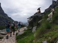 Wanderung an der Ruta del Cares im Nationalpark Picos de Europa (13)
