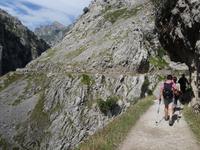 Wanderung an der Ruta del Cares im Nationalpark Picos de Europa (47)