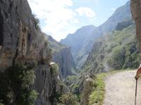Wanderung an der Ruta del Cares im Nationalpark Picos de Europa (48)