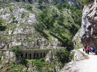 Wanderung an der Ruta del Cares im Nationalpark Picos de Europa (56)