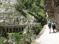Wanderung an der Ruta del Cares im Nationalpark Picos de Europa (59)