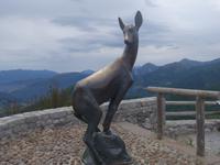 Wilkommen in Kantabrien (2)