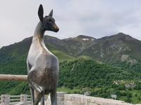 Wilkommen in Kantabrien (3)