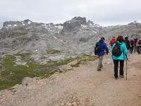 Wanderung im Nationalpark Picos de Europa von Fuente De bis Espinama bei Potes in Kantabrien (26)