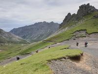 Wanderung im Nationalpark Picos de Europa von Fuente De bis Espinama bei Potes in Kantabrien (5)