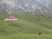 Wanderung im Nationalpark Picos de Europa von Fuente De bis Espinama in Kantabrien (10)