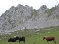 Wanderung im Nationalpark Picos de Europa von Fuente De bis Espinama in Kantabrien (12)
