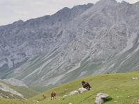 Wanderung im Nationalpark Picos de Europa von Fuente De bis Espinama in Kantabrien (15)