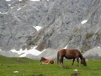Wanderung im Nationalpark Picos de Europa von Fuente De bis Espinama in Kantabrien (18)