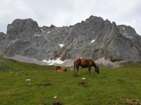 Wanderung im Nationalpark Picos de Europa von Fuente De bis Espinama in Kantabrien (19)