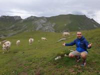 Wanderung im Nationalpark Picos de Europa von Fuente De bis Espinama in Kantabrien (34)