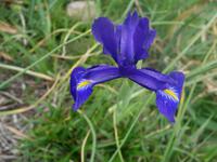 Wanderung im Nationalpark Picos de Europa von Fuente De bis Espinama in Kantabrien (1)