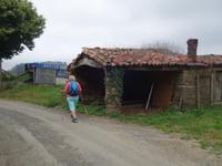 Wanderung auf dem Jakobsweg von Salceda nach Lavacolla (2)