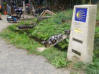 Wanderung auf dem Jakobsweg von Salceda nach Lavacolla (9)