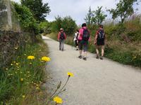 Wanderung auf dem Jakobsweg von Salceda nach Lavacolla (12)