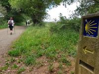 Wanderung auf dem Jakobsweg von Salceda nach Lavacolla (14)