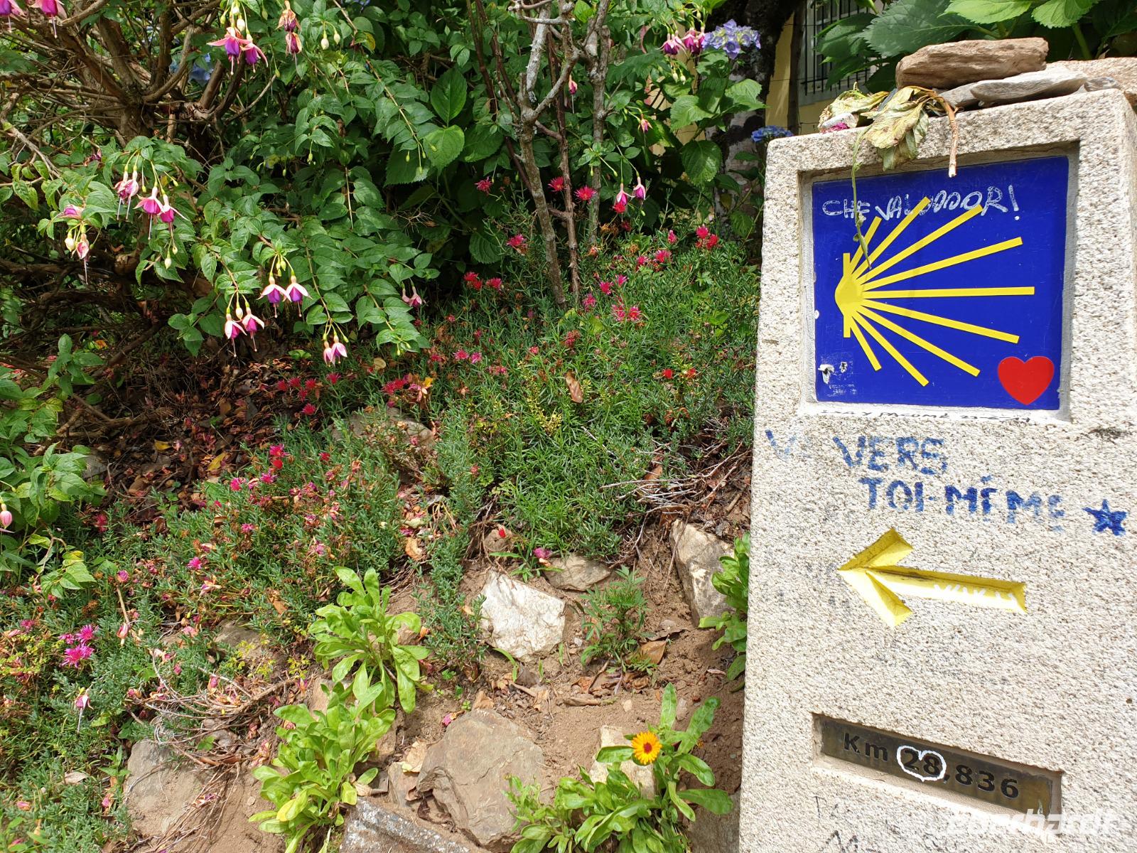 Wanderung auf dem Jakobsweg von Salceda nach Lavacolla (16)