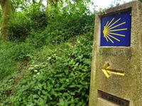 Wanderung auf dem Jakobsweg von Salceda nach Lavacolla (17)