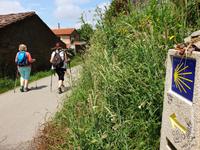 Wanderung auf dem Jakobsweg von Salceda nach Lavacolla (18)