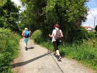 Wanderung auf dem Jakobsweg von Salceda nach Lavacolla (19)