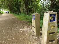 Wanderung auf dem Jakobsweg von Salceda nach Lavacolla (25)