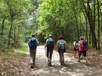 Wanderung auf dem Jakobsweg von Salceda nach Lavacolla (27)
