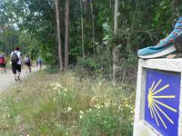 Wanderung auf dem Jakobsweg von Salceda nach Lavacolla (28)