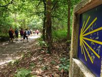 Wanderung auf dem Jakobsweg von Salceda nach Lavacolla (30)