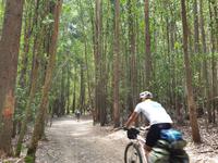 Wanderung auf dem Jakobsweg von Salceda nach Lavacolla (31)