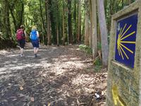 Wanderung auf dem Jakobsweg von Salceda nach Lavacolla (33)