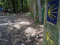 Wanderung auf dem Jakobsweg von Salceda nach Lavacolla (34)