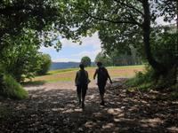 Wanderung auf dem Jakobsweg von Salceda nach Lavacolla (1)