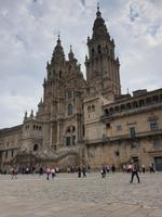 Wanderung auf dem Jakobsweg von Monte do Gozo bis Santiago de Compostela mit Stadtbesichtigung (26)